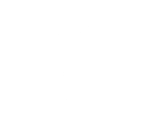 True Veils 